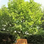 Haus Sonnenruh * Oberhof