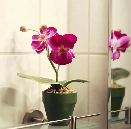 Daire Haus Sonnenruh *