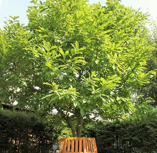 Haus Sonnenruh * Oberhof (Thuringia)